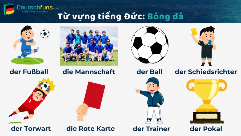 từ vựng tiếng Đức chủ đề bóng đá